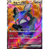 モルペコex【SR】{100/081}