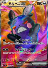 モルペコex【SR】{100/081}