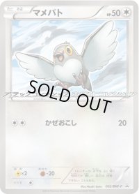 マメパト【P】{002/BW-P}