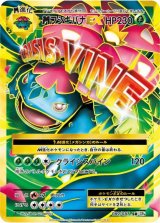 〔状態B〕MフシギバナEX【SR】{089/087}