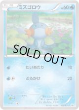 ミズゴロウ【P】{109/XY-P}