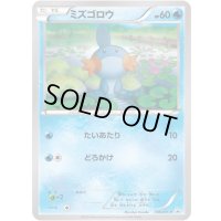 ミズゴロウ【P】{109/XY-P}