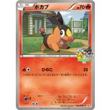 〔状態B〕ポカブ【P】{043/BW-P}