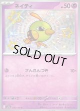 〔状態B〕ネイティ【S】{256/190}