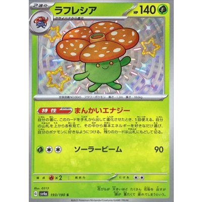 ラフレシア【S】{193/190}