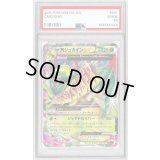 〔PSA10鑑定済〕MジュカインEX【RR】{008/081}