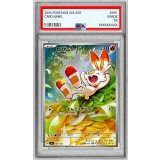 〔PSA10鑑定済〕ヒバニー(AR仕様)【-】{745/742}
