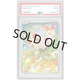 〔PSA10鑑定済〕ヒバニー(AR仕様)【-】{745/742}