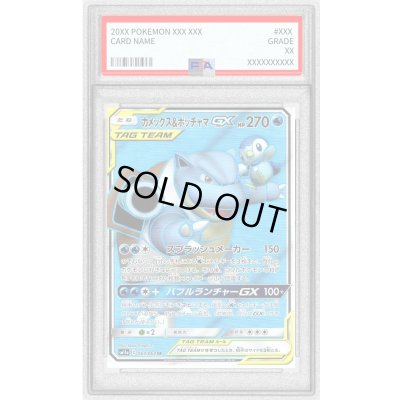 画像1: 〔PSA10鑑定済〕カメックス＆ポッチャマGX【SR】{069/064}