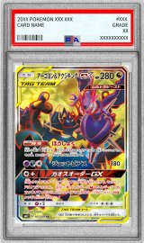 〔※状態難/PSA10鑑定済〕アーゴヨン＆アクジキングGX【SR】{101/095}