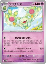 ランクルス【U】{042/086}