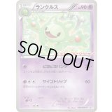 ランクルス【P】{056/BW-P}