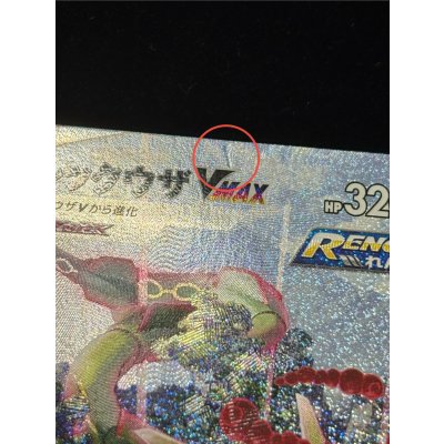 画像12: 〔状態B〕レックウザVMAX(SA)【HR】{083/067}