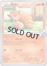 ロコン【P】{110/XY-P}