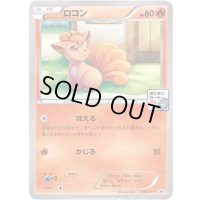 ロコン【P】{110/XY-P}