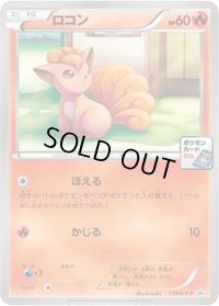 ロコン【P】{110/XY-P}