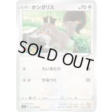 ホシガリス【C】{084/096}