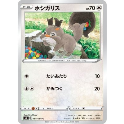 ホシガリス【C】{084/096}