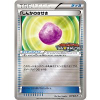 〔状態C〕しんかのきせき【P】{097/BW-P}