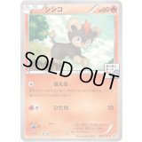 シシコ【P】{081/XY-P}