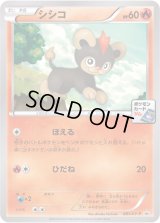 シシコ【P】{081/XY-P}