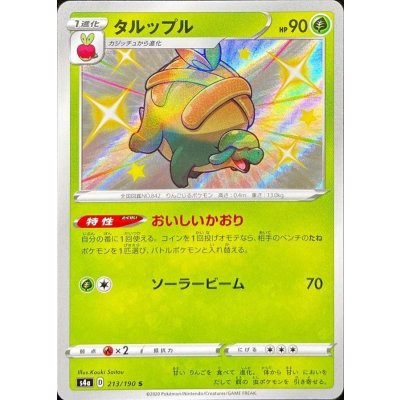 タルップル【S】{213/190}