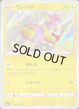 ワンパチ【S】{238/190}