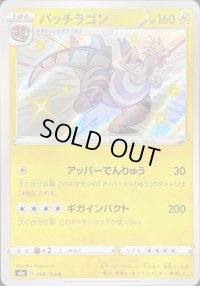 〔状態B〕パッチラゴン【S】{244/190}