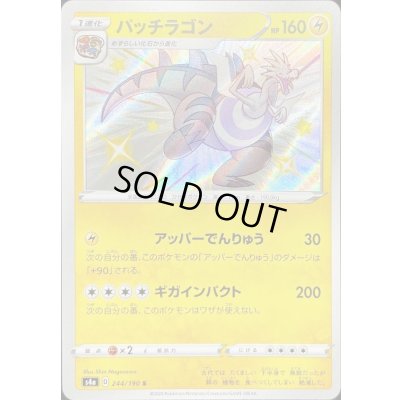 画像1: 〔状態B〕パッチラゴン【S】{244/190}