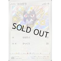 〔状態B〕ココガラ【S】{300/190}