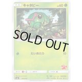 キャタピー【-】{001/051}