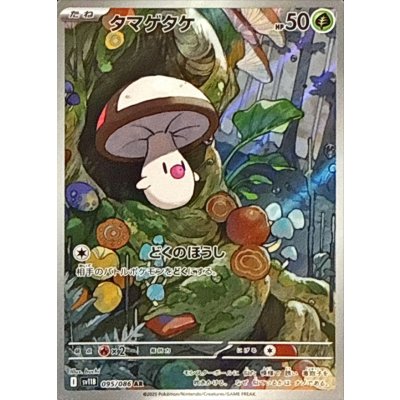 画像1: タマゲタケ【AR】{095/086}