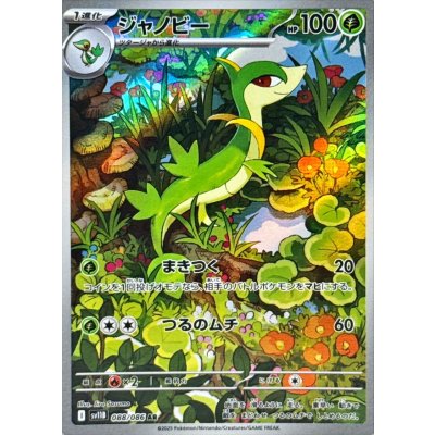 画像1: ジャノビー【AR】{088/086}