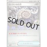 〔状態B〕古びたかいの化石(マスターボールミラー)【C】{154/165}