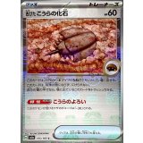 古びたこうらの化石(マスターボールミラー)【C】{155/165}