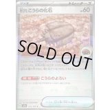 〔状態B〕古びたこうらの化石(マスターボールミラー)【C】{155/165}