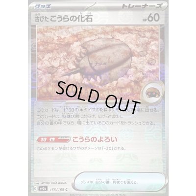 画像1: 〔状態B〕古びたこうらの化石(マスターボールミラー)【C】{155/165}
