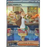 〔状態B〕ミカンのまなざし【SAR】{135/106}