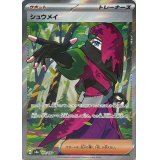 シュウメイ【SR】{191/187}