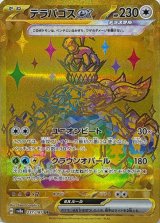 〔状態A-〕テラパゴスex【UR】{237/187}