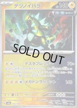 〔状態B〕テツノイバラ(マスターボールミラー)【-】{055/187}