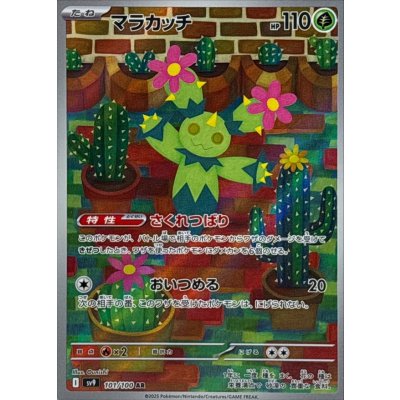〔状態B〕マラカッチ【AR】{101/100}