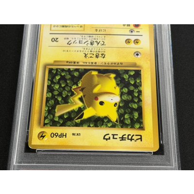 画像3: 〔PSA7鑑定済〕ピカチュウ LV.16(光沢あり/Ken Sugimori)【-】{旧裏}