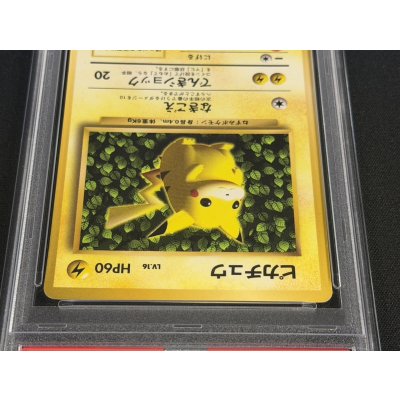 画像3: 〔PSA6鑑定済〕ピカチュウ LV.16(光沢あり/Ken Sugimori)【-】{旧裏}