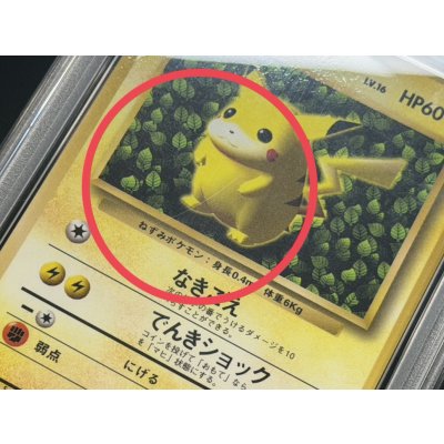画像8: 〔PSA6鑑定済〕ピカチュウ LV.16(光沢あり/Ken Sugimori)【-】{旧裏}