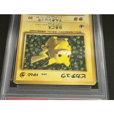 画像3: 〔PSA5鑑定済〕ピカチュウ LV.16(光沢あり/Ken Sugimori)【-】{旧裏}