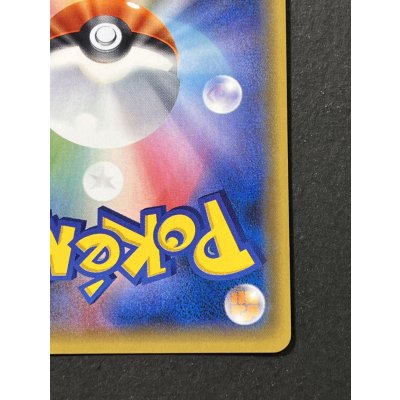 画像11: カリン(SR仕様)【-】{183/171}