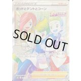 〔状態B〕ポッドとデントとコーン【HR】{124/100}