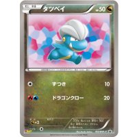 〔状態C〕タツベイ【P】{193/BW-P}