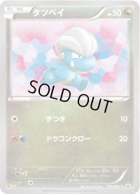 〔状態B〕タツベイ【P】{193/BW-P}